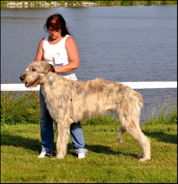 Heaven Des sylphides de la baie d'argent