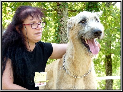 des Amis d'Olfy